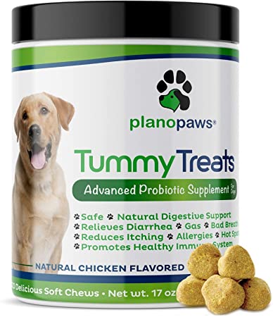 Tummy Treats - Probiotics for dogs - All Natural Dog Probiotics and Digestive Enzymes - Allergy Relief for Dogs - 120 Dog Breath Treats - Dog Allergy Chews - Fiber for Dogs - Safe Dog Breath Freshener