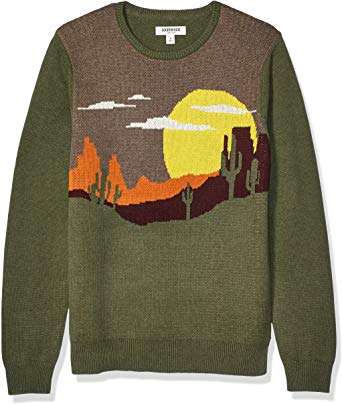 Amazon Brand - Goodthreads Men's Soft Cotton Graphic Crewneck Sweater