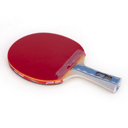 DHS X6002 (FL) New X-Series SUPERSTAR Table Tennis Racket
