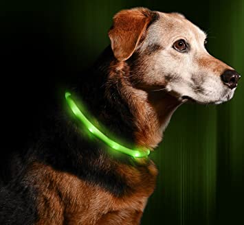 Illumiseen LED Dog Necklace Collar - USB Rechargeable Loop - Available in 6 Colors - Makes Your Dog Visible, Safe & Seen (Green)