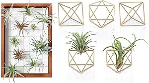 Mkono Air Plant Frame Hanging Airplant Holder Geometric Planter Tillandsia Air Fern Display Stand