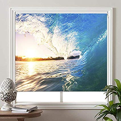 PASSENGER PIGEON Blackout Window Shades, Premium UV Protection Water Proof Custom Roller Blinds, Printed Picture Window Roller Shade，24" W x 48" L, SEA-11