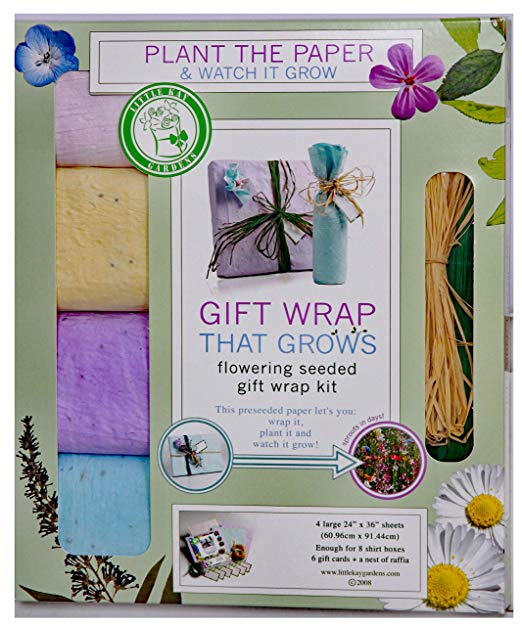 Gift Wrap That Grows and Blooms Colorful Wild Flowers - Seeded to create Colorful Garden