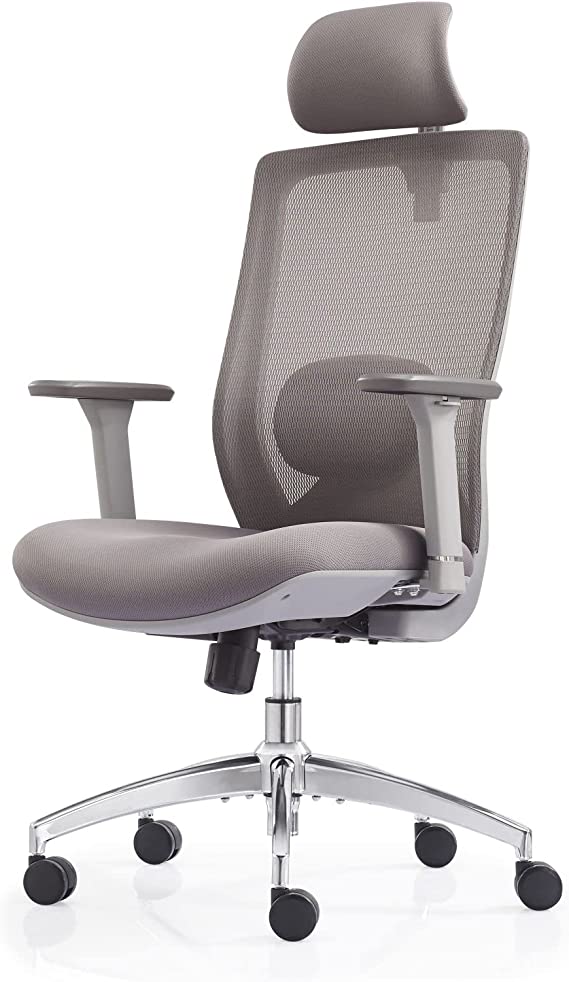 FYLICA Ergonomic Office Chair, Big and Tall Office Chair, Adjustable Headrest with 3D Armrest, Lumbar Support and PU Wheels, Swivel Computer Task Chair for Office, Tilt Function Computer Chair (Grey)