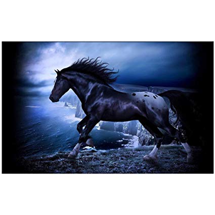 YISUMEI 60" X 80" Blanket Comfort Warmth Soft Plush Throw for Couch Horse Abstract Artistic Beautiful Clouds
