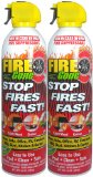 Fire Gone 2NBFG2704 WhiteRed Fire Extinguisher - 16 oz Pack of 2