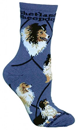 Shetland Sheepdog Dog Blue Cotton Ladies Socks