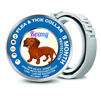 KEXMY Flea and Tick Collar for Dogs - Flea and Tick Prevention for Small, Medium or Large Dog - Waterproof Collar Flea Tick - 8 Months Protection Dog Flea and Tick Control