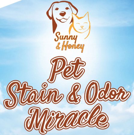 Pet Stain & Odor Miracle - Enzyme Cleaner for Dog and Cat Urine, Feces, Vomit and Drool (Cucumber Melon Scent 32FL OZ)