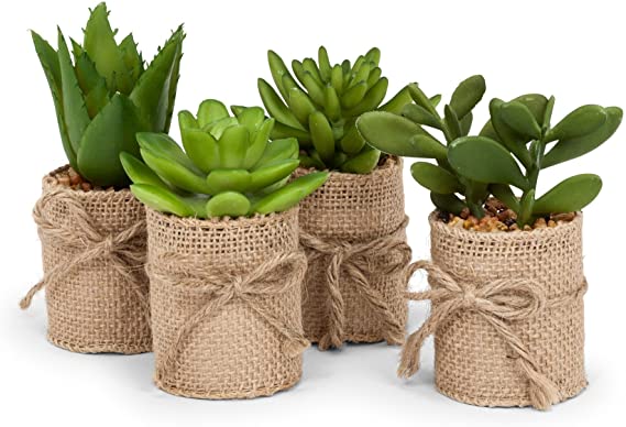 Abbott Collection Home 27-MOJAVE/01 Set of 4 Green Artificial Succulents in Burlap Wrap