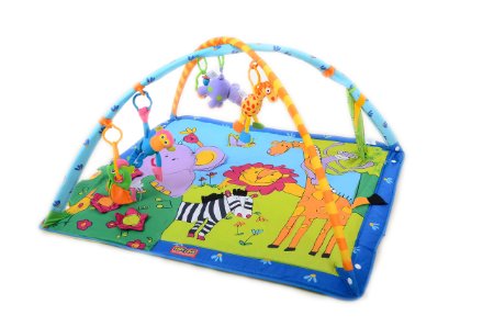 Tiny Love Lights and Music Gymini Activity Gym Super Deluxe Lights and Music