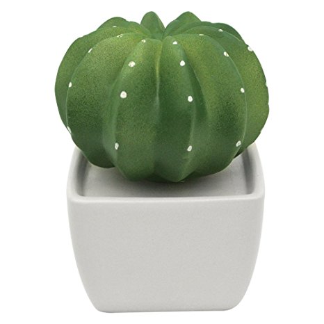 Ceramic fragrance diffuser essential oil for aromatherapy and decorate your place. Dotti Cactus(White vase)