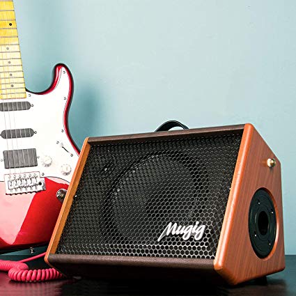 Electric Guitar Amplifier, Mugig Guitar Amplifier 25W, with 3-Band EQ, DSP Effect, Two Seperate Channel for Guitar/Micphone, Support Bluetooth/Charging/Recording/Earphone - Wooden
