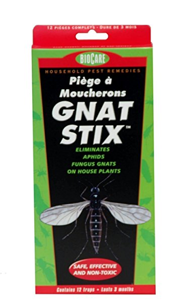 Springstar S5333 12 Count Biocare™ Gnat Stix