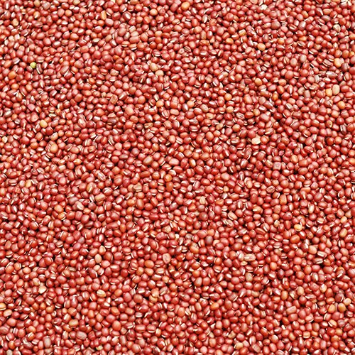 Organic Adzuki Beans by Food to Live (Kosher, Dried, Bulk ) — 25 Pounds