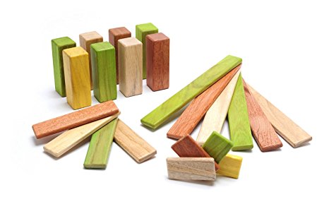 22 Piece Tegu Endeavor Magnetic Wooden Block Set, Jungle