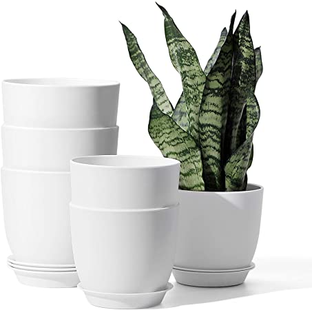 Plastic Plant Pots - POTEY 001 6.3 Inch and 5.5 Inch Indoor Planters for Flowers, Snake Plant with Drainage Hole, Saucers, Home Decor - White, Set of 6