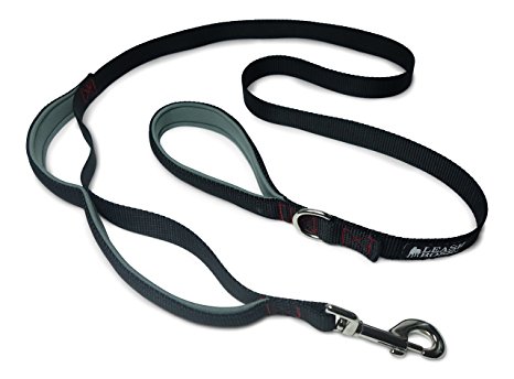 Leashboss 3X - Two Handle Dog Leash with Extra Traffic Handle - Heavy Duty Double Padded Handle Lead for Walking and Training Large Dogs - 6 Foot - Black
