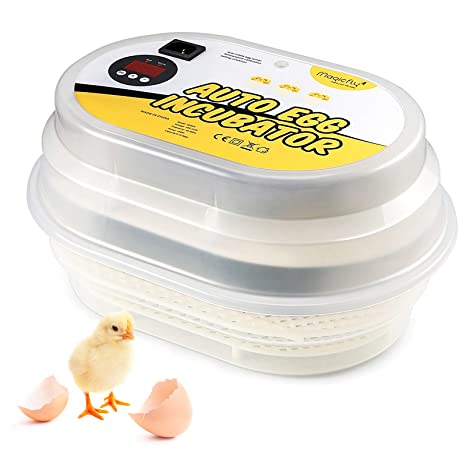 Magicfly Digital Mini Fully Automatic Egg Incubator 12 Eggs Poultry Hatch