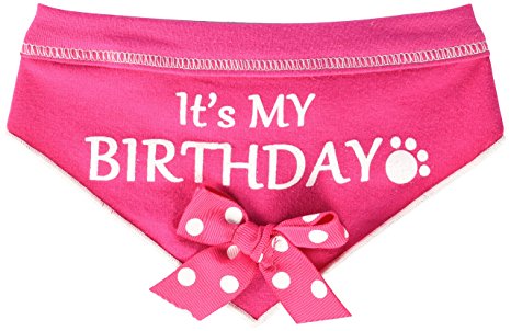 I See Spot It's My Birthday Pet Bandana Scarf in Hot Pink