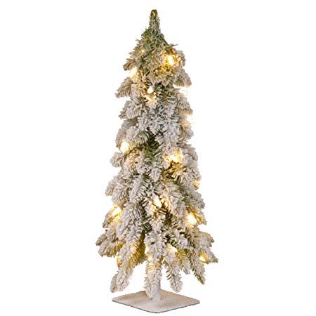 National Tree 24 Inch Snowy Downswept Forestree with 50 Clear Lights with a Metal Plate (FTDf1-24ALO-1)