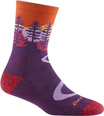 Darn Tough Women's Northwoods Micro Crew Lightweight Hiking Sock (Style 5013) -