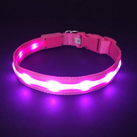 HOLDALL Led Dog Collar USB Rechargeable Light Up Collar Make Dogs Visible in Dark Safe from Danger at Night 3 Sizes (21 to 68cm).