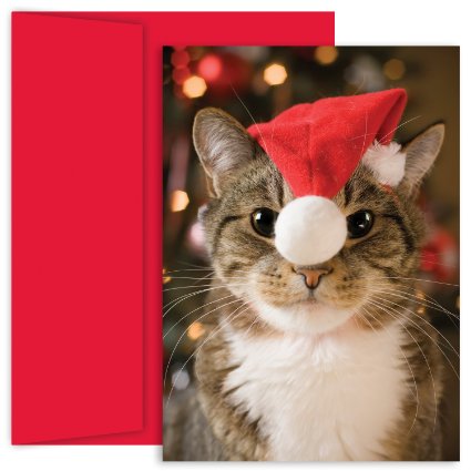 Hortense B Hewitt Holiday Greetings Festive Cat Box of 18