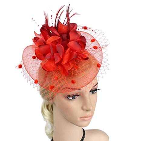 Hilary Ella Fascinators Hat,Flower Mesh Ribbons Feathers Headband,Kentucky Derby Wedding Tea Party Fascinator