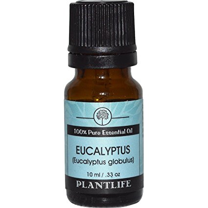 Eucalyptus 100% Pure Essential Oil - 10 ml