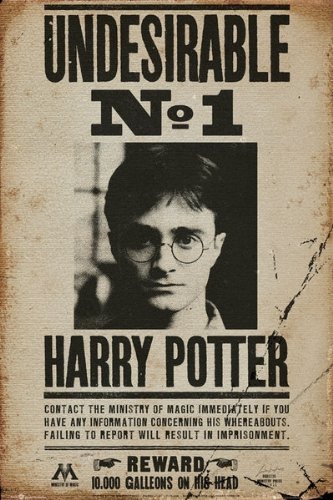 Harry Potter - Movie Poster (Wanted: Undesirable No. 1 - Harry Potter) (Size: 24" x 36") (By POSTER STOP ONLINE)