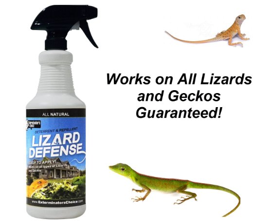 Lizard Defense Natural Repellent Spray 32oz|For Lizards & Geckos|Home and Garden Deterrent & Repellent?