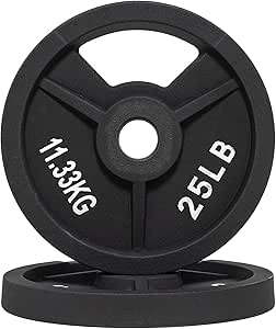 Signature Fitness Cast Iron Plate Weight Plate for Strength Training and Weightlifting, Olympic or Standard