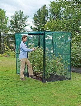 Gardener's Supply Company Crop Cage, 4 x 8 Plant Protection Tent