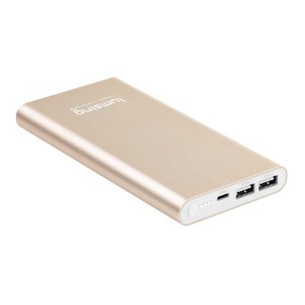 Lumsing 12000mAh (Apple Lightning Charging Input Port) Portable Charger External Battery Power Bank for iPhone 6S, 6S Plus,6 Plus,6,5S,5C,5,iPad Air / Mini，iPod -Black(Gold)