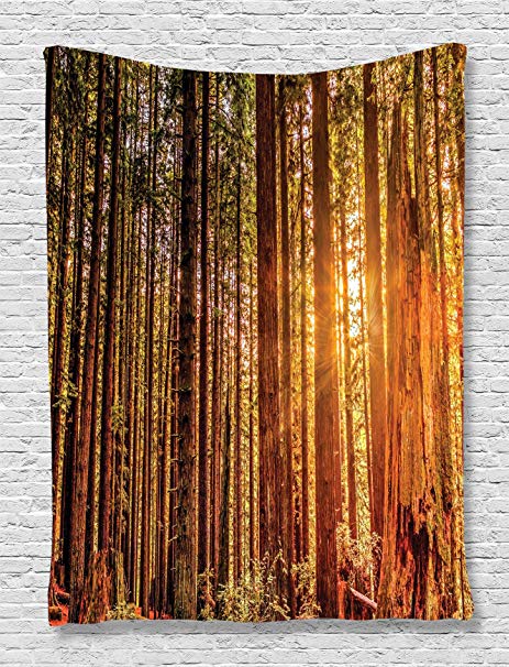 Ambesonne USA National Park Tapestry Wall Hanging, Tall Trees Red Woods Forestry, Bedroom Living Room Dorm Decor, 60 W x 80 L Inches