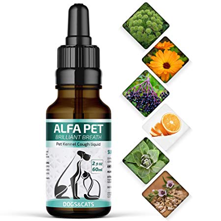 Kennel Cough Medicine for Dogs - Organic Dog Cough Medicine for Colds & Allergies - Natural Kennel Cough Treatment with Mullein Leaf & Elderberry