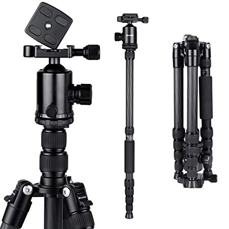 BC Master TC543M 59-inch Travel Tripod, Carbon Fiber DSLR Camera Tripod Monopod Kit, Lightweight Sturdy, Including Carrying Bag and Quick Release Plate, 4.45 Pounds, Black