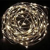 Spring RoseTM 100 Warm White Color Lights on 30 Ft Long Silver Ultra Thin String Wire With Power Adaptor This Wire Light is Perfect For Use As A Wedding Decoration Or To Add Flair To A Floral Arrangement Or Centerpiece Be Sure This Is On Your List Of Party Supplies