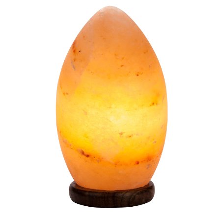 Hand Crafted HemingWeigh Natural Himalayan Crystal Salt Rock Oval Lamp with Wood Base