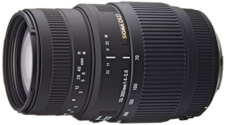 Sigma 70-300mm f/4-5.6 DG Macro Telephoto Zoom Lens for Canon SLR Cameras