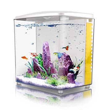 FREESEA 1.4 Gallon Betta Aquarium Fish Tank with LED Light and Filter Pump