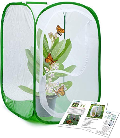RESTCLOUD Insect and Butterfly Habitat Cage Terrarium Pop-up 24 Inches Tall, Polyester Bottom for Easier Clean (Standard)