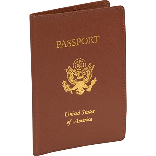 Royce Foil Stamped Leather RFID - blocking Passport Jacket