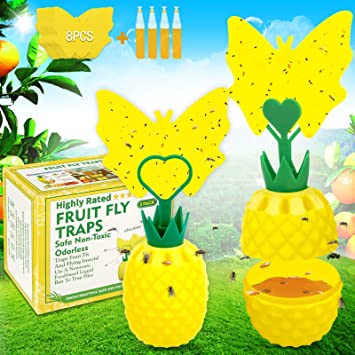 Defendy Fruit Fly Traps with Sticky Pads, Gnat Traps with 4 Baits Fruit Fly Traps for Indoors Outdoor Odorless Non-Toxic Fly Catcher Gnat Fruit Flies Killer Insect Trap for Plant House Kitchen, 2 Pack