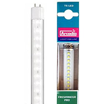 Arcadia T5 HO LED Replacement Lamp 22" (for 24" Fixtures) 24W (equivalent) Freshwater Pro 8000K