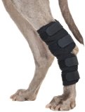 Back on Track Therapeutic Dog Rear Leg Hock Brace with 4 Adjustable Velcro Straps