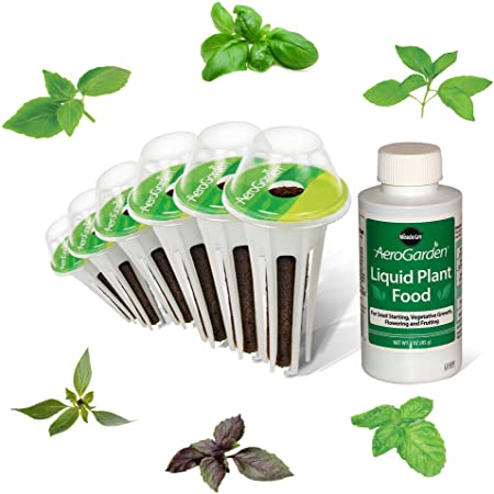 AeroGarden International Basil Seed Kit (6 pod)