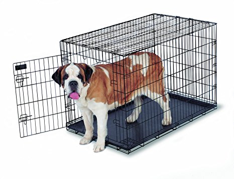 Aspen Pet Home Training Wire Crate, Black