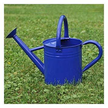 Gardener's Select Watering Can, Blue, 3.5 L